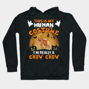 Chow Chow Halloween This Is My Costume Hoodie